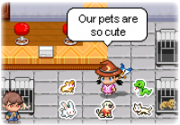 Pets